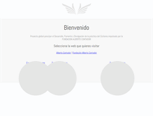 Tablet Screenshot of fundacioncontadorteam.com